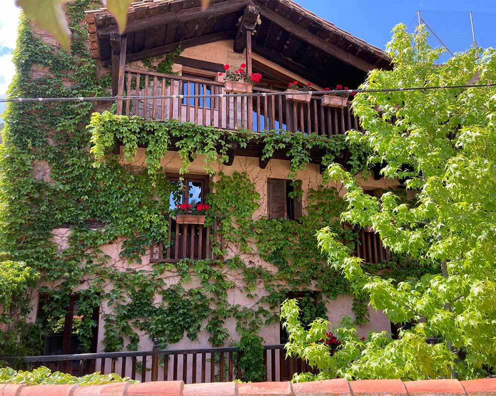 la-casa-del-bosque-slide-000